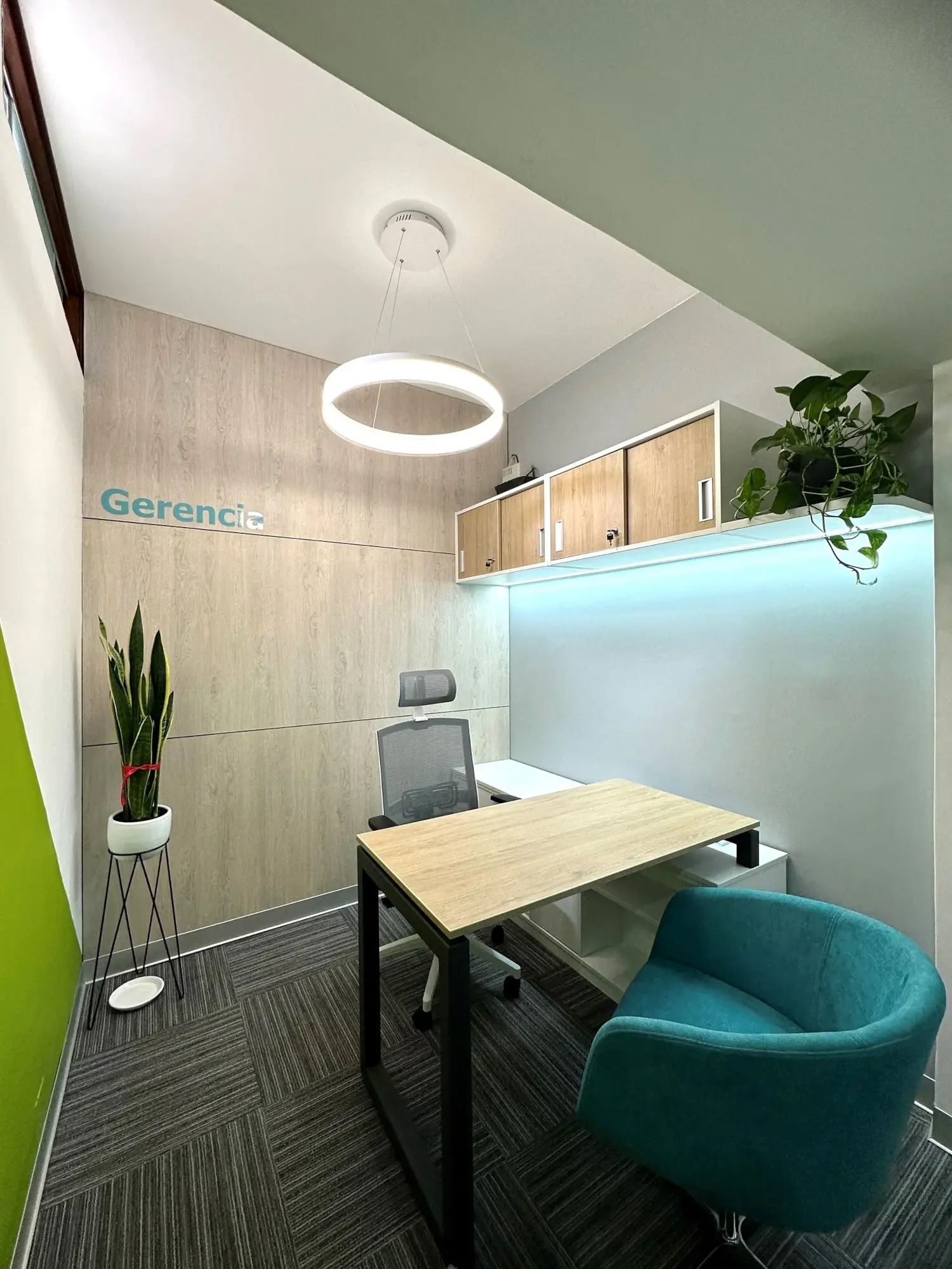 imagen de galeria